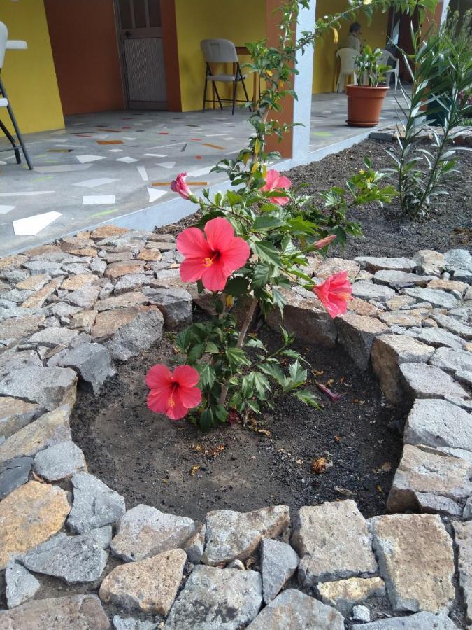Bed & Breakfast Casa Alcindo *